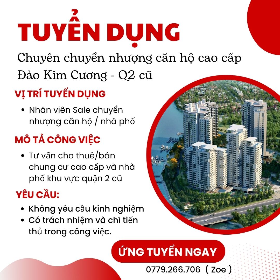 lĩnh vực hoạt động